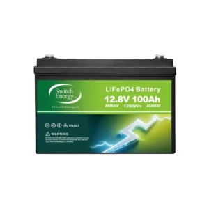 SWE LiFePO4 12V Lithium Battery with Bluetooth and Heater